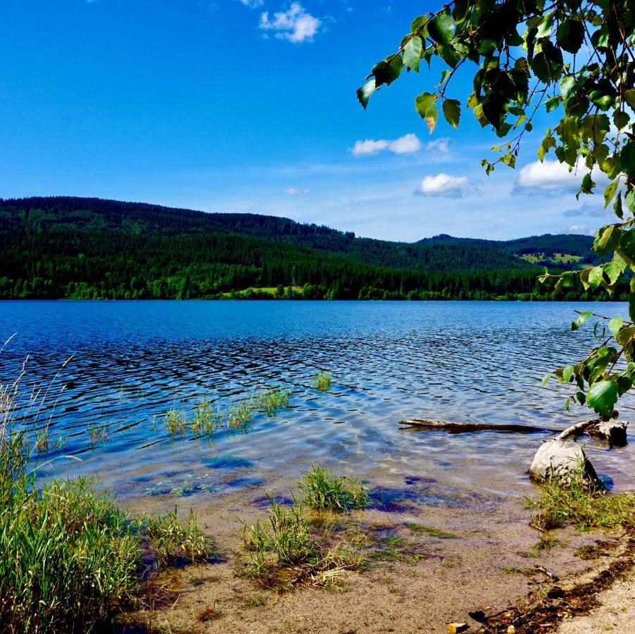 Auszeit Schluchsee - Fewo Tanja - Oase Der Stille - Exterior foto